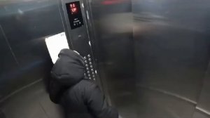 Умный лифт. Голосовой помощник Алиса. #пранк #мем #алиса