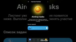 Как и куда вывести деньги с Хамстер комбат? На сколько и зачем пополнять свой кошелек?