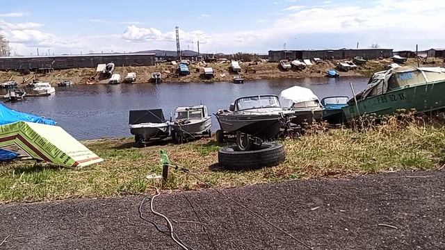 2025-05-08 Лебедь.mp4