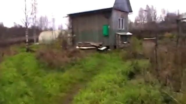 Влог из деревни //печка//наш участок//хвойники ни участке(архив) смотреть онлайн