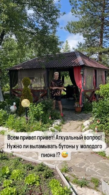 Нужно ли выламывать бутоны у пиона ? #сад #лайфхаки #дач смотреть онлайн