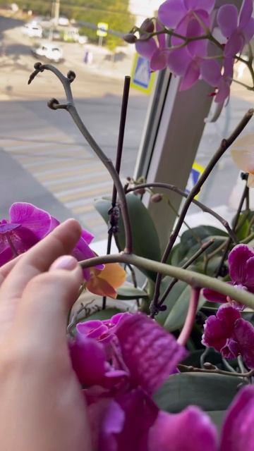 Если досмотреть видео до конца,то можно заметить, что ? смотреть онлайн