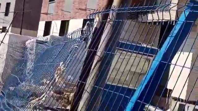 ЖК Barkli Медовая Долина 5 дом 11.04.2021