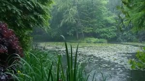 Красивая маленькая река идет дождь💙 3ЧАСА РЕЛАКСА💥 спи, отдыхай, медитируй🪷, ФОН ☘️💚#релакс#фон