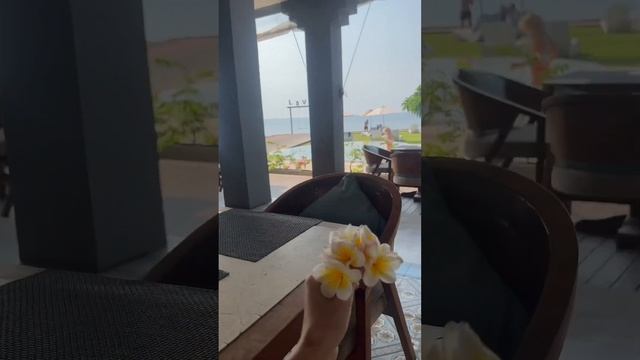 Это что касается плюсов, но есть и минусы #бали #жизньн? смотреть онлайн