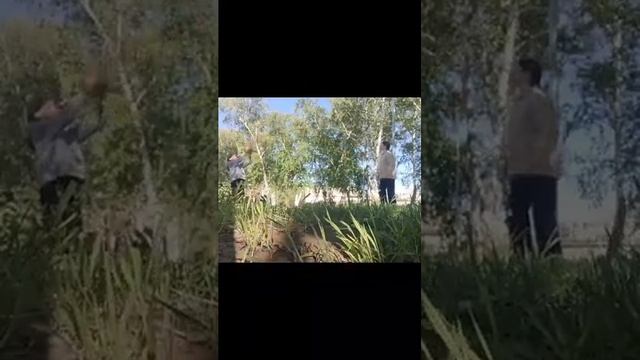 (может быть) друзья (минус песни почему) смотреть онлайн