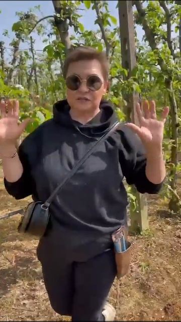 Последствия неправильного формирования смотреть онлайн