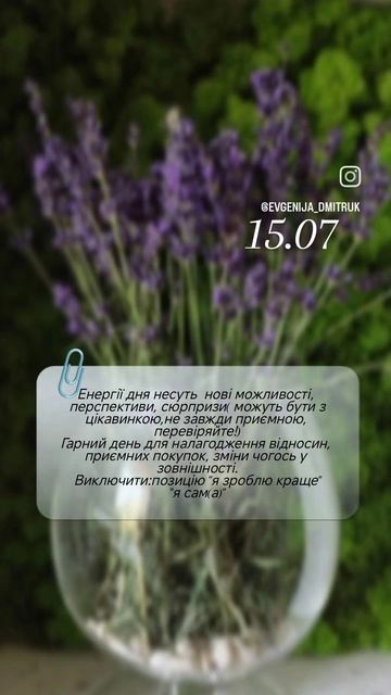#прогнознасьогодні #прогнознадень #прогноз #lavender смотреть онлайн