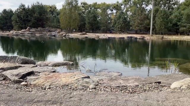 ОЗЕРО 1500 М.КВ. Набор воды. Финальные работы по водоему смотреть онлайн