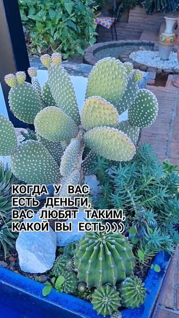КОГДА У ВАС ЕСТЬ ДЕНЬГИ, ВАС ЛЮБЯТ ТАКИМ,КАКОЙ ВЫ ЕСТЬ? смотреть онлайн