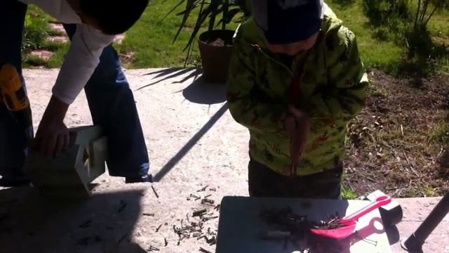 С папой делаем скворечник смотреть онлайн