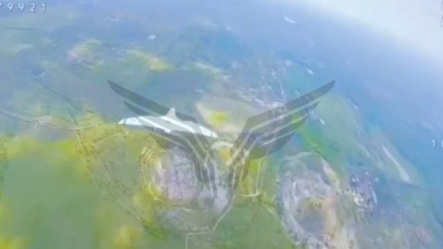 ВДВ зачищает небо от вражеских птиц. 67 бортов за 3 недели. смотреть онлайн