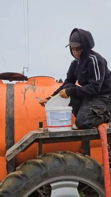 Волгоград+АпаСил=любовь