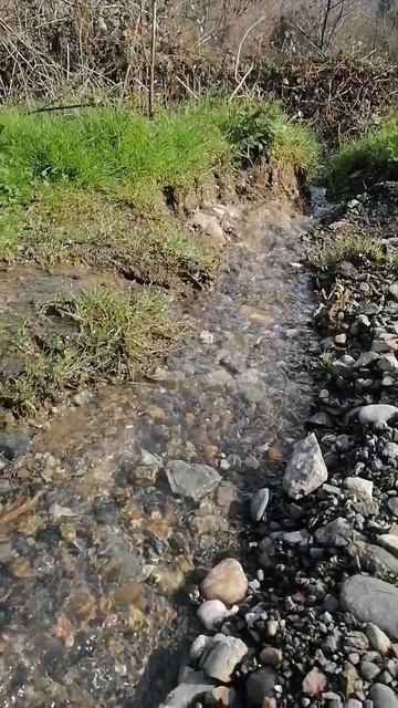 Сочи весенние ручейки #ручьи #ручейки #сочи #вода #горы смотреть онлайн