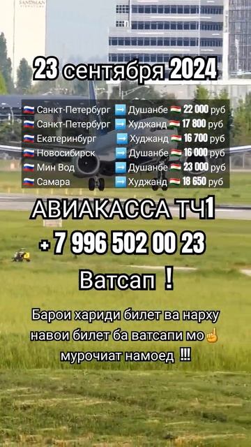 Нархи билет 23 сентябрь #aviakassa_tj1 #shorts #tj #авиакасса_биле? смотреть онлайн