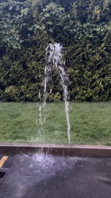 Авто полив газона