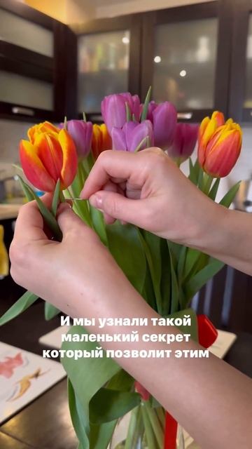 А вы любите получать цветы на 8 марта? Или лучше получа? смотреть онлайн