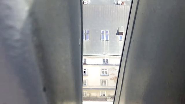 С высоты львовской ратуши