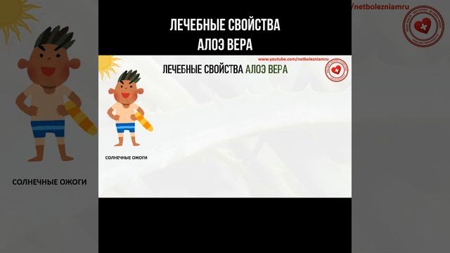 Лечебные свойства алоэ вера #народнаямедицина #алоэве смотреть онлайн