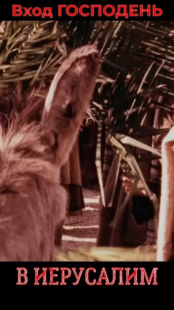 Вербное воскресенье 🌿#Праздник#ВербноеВоскресенье#П смотреть онлайн