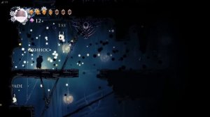 Я организовал охоту за гео на 15 человек в Hollow Knight