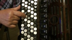 ВАСИЛЬКИ Разбор на Баяне