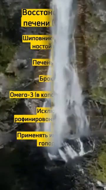 Восстановление печени 2 #shorts смотреть онлайн