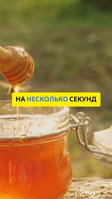 Миф 5: Мёд нельзя есть металлической ложкой смотреть онлайн