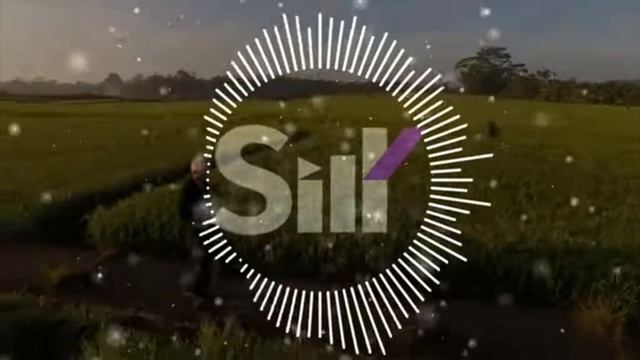 А Берёзы Тут Шумят, Потому Что Дерзкие.