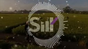 А Берёзы Тут Шумят, Потому Что Дерзкие.