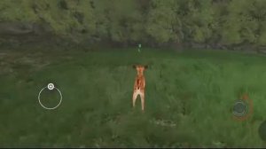 Life of Deer #2 ( жизнь оленя 2 часть)