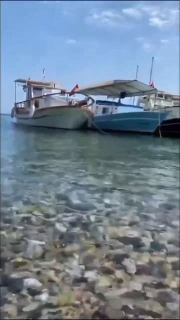 ГДЕ ЭТО МОРЕ??Я ХОЧУ ТУДА!! смотреть онлайн