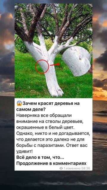 Зачем красят деревья на самом деле?😱 смотреть онлайн