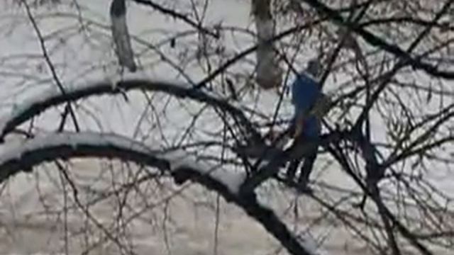 Прикол человек собака смотреть онлайн