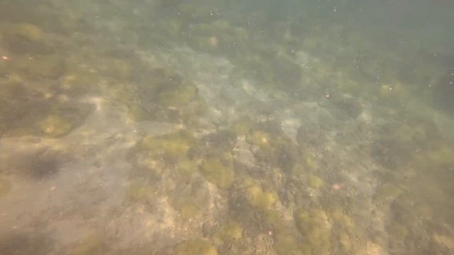 Южно-Китайское море. Остров Ко Кхам. Паттайя. Таиланд. 4 смотреть онлайн