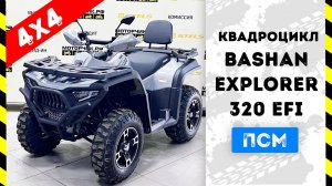 Квадроцикл Bashan Explorer 320 EFI 4х4 с ПСМ