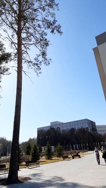 Весна в НГУ☀️#Академгородок#Новосибирск смотреть онлайн