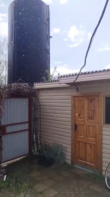 Дождь и солнце одновременно 🌦️ смотреть онлайн