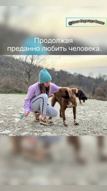 Верьте, чудеса есть смотреть онлайн