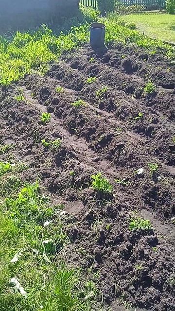 вот и закончился отдых на даче началась работа смотреть онлайн