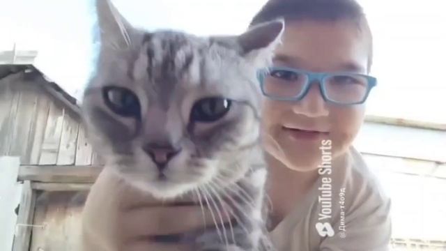 огляд на Елю смотреть онлайн