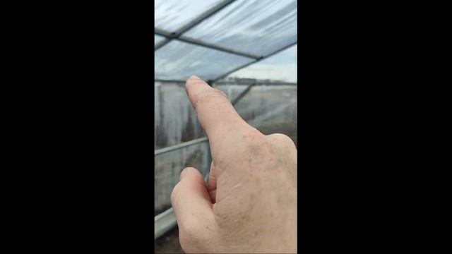 теплица с гибкого стекла смотреть онлайн