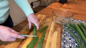 Что делать с алоэ вера если куст перерос? Заготавливае