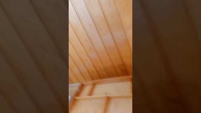 10.08.24. В процессе. Будет обзор советского этюдника. Вид? смотреть онлайн