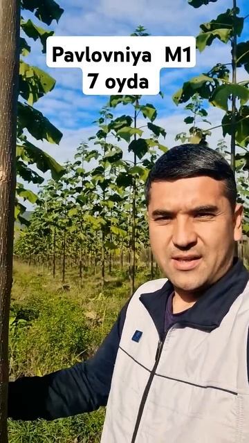 7 ойлиг Натижа #павловния #shorts #uzb #Fergana смотреть онлайн