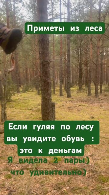 Приметы из леса: обувь к деньгам смотреть онлайн