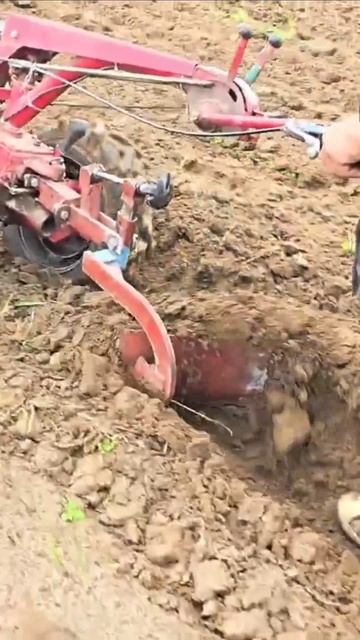 Плуг переварен и хорошо отрегулирован. Мотоблок МТЗ Б? смотреть онлайн