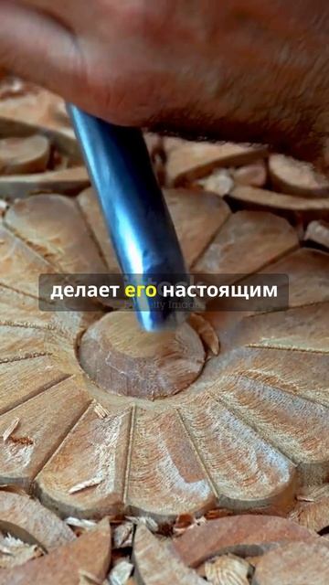 Уникальность амаранта смотреть онлайн