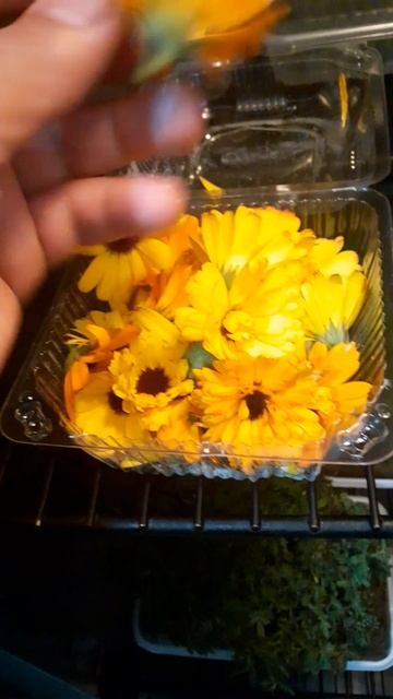 30 сентября 2022 г. смотреть онлайн