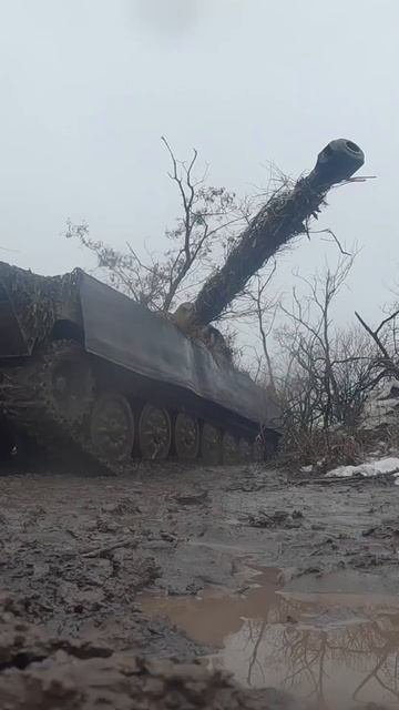 сау Гвоздика приехала работать смотреть онлайн